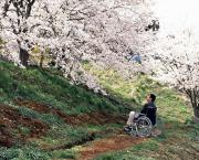 Hana-Bi (Takeshi Kitano, 1997)