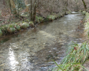 Première balade 2026 😁