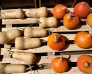 Le jardin gourmand du 16 Novembre
