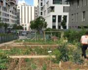 Les communs urbains : de quoi parle-t-on au juste ?