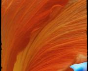 Lettre à Toi que je quitte