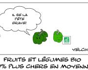 Légumes bio prout-prouts