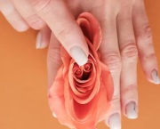 Clitoris