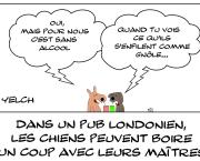 Pas d'alcool pour les clebs