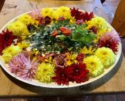 Le jardin de fleurs du 8 Octobre