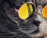Réflexion : June qu'es acquò ? (1)