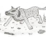 Découvrez les super-canins d'Ethélys !