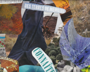 Connaître la pensée polaire