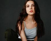 Consigne : Écrire un texte avec les mots suivants :Aristocrate, belge, carapace, détermination, électrique, fortification, galopante, hybride.