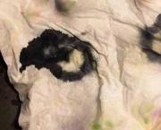 Le visage des objets