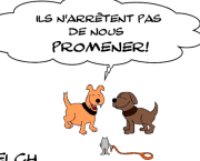 la gent canine et le confinement