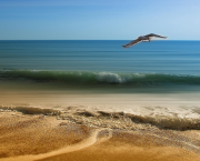 Épiphanie pour la jeunesse du monde, exhortation dans le vent…