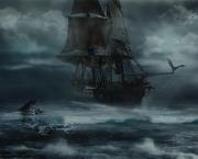 Capitaine Nosfero