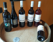 Dégustation au Domaine Poggio di Bortolone (Sicile)e