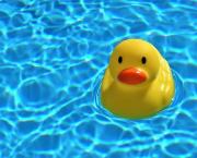 Rubber Duck Debugging