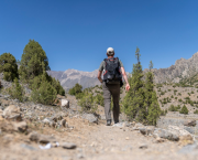 LinkTober2025 : leçon