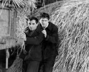 La Tête contre les murs (Georges Franju, 1959)