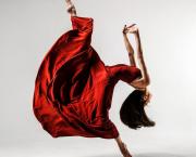 The Sculptural Photography of Vadim Stein