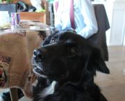 Ouvre grand tes oreilles et tes yeux