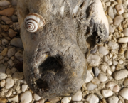 Oeil de pierre