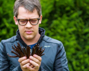 Pourquoi la Vanille est Si Chère ? Voyage au Cœur de sa Production Artisanale et d'un Processus Long.