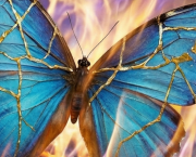 Fragments 2 ... Les ailes Kinstugi