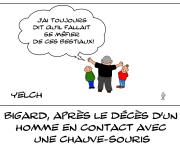 J'ai toujours peur des chauves-souris