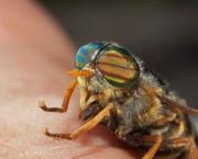 Il racconto rivelatore