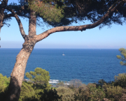 Le Masque de la Vérité et le Cynisme transmuté