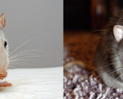 Jour 4  - 26/11/2018