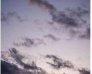 Écrire un texte avec les mots suivants :Ange, bécoter, cassis, disque, éliminer, fantôme, générique, hectare.