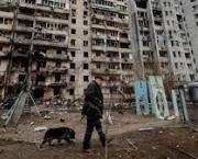 Kyiv, you crying