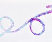 Pourquoi je fais partie de la tribu des écoworkers