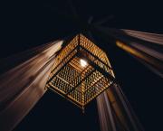 Chapitre 14 - Sortir de la cage