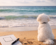 Arrêter pour avancer ?