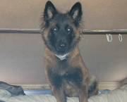 Ton lit? Mon lit? Notre lit 😁