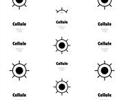 Cellule