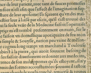 L'humanisme à la Renaissance : les lettres en ébullition