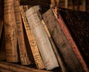 Le premier roman de l'Histoire