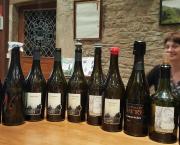 Visite au Domaine Pignier à Montaigu