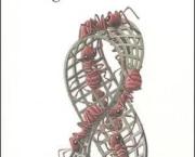 Covid19 : le virus gugusse de la Couronne et la chasse à l'ADN grandeur Nature (de la recherche)