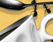 INTERFERENCES, PARASITES