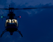 6. Une exfiltration très féline