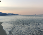 Une bouteille à la mer