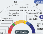 Comment les français se sont-ils fait voler les élections législatives de 2024?