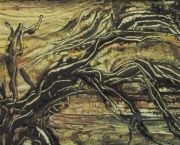 DANS LA NUIT, L' ARBRE CENTENAIRE