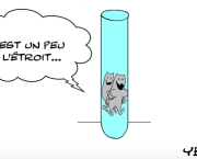 fécondation in vitro