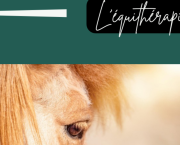 L’équitéraphie