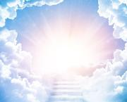 Tous mes amis