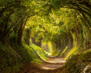 Tunnel